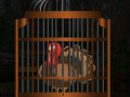 Juego Thanksgiving Turkey Cage Escape
