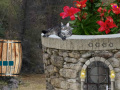 Juego Cat Well Escape