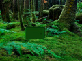 Juego Tropical Rain Forest Escape