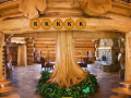 Juego Escape from Log House