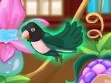 Juego My Sweet Bird