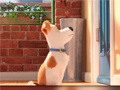 Juego Hidden Letters in The Secret Life of Pets