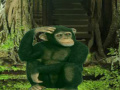 Juego Chimpanzee Forest Escape