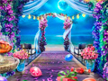 Juego Wedding Photographer