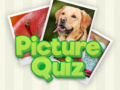 Juego 100 Pics