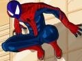 Juego Spiderman Costume