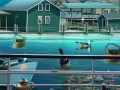Juego The Fisherman's Curse