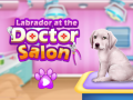 Juego Labrador at the doctor salon    