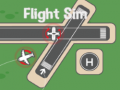 Juego Flight Sim