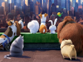 Juego The Secret Life Of Pets Find Objects