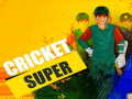 Juego Super Cricket      