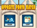 Juego Opposite photo match