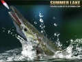 Juego Summer Lake