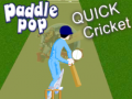 Juego Paddle Pop Quick Cricket