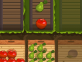 Juego Fruit Gardener