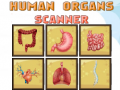 Juego Human Organs Scanner