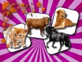 Juego Domestic Animal Memory Challenge