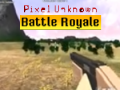 Juego Pixel Unknown Battle Royale