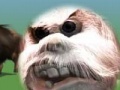 Juego Yeti bloody