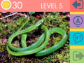 Juego 15 Picture Quiz