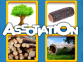 Juego Assotiation 