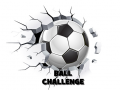 Juego Ball Challenge