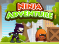 Juego Ninja Adventure