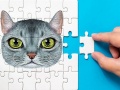 Juego Abyssinian Puzzle Challenge