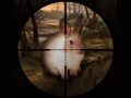 Juego Classical Rabbit Sniper Hunting 2019