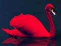 Juego Love Birds Puzzle