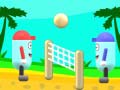 Juego Beach Volleyball