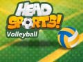 Juego Head Sports Volleyball