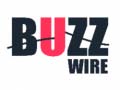 Juego Buzz Wire