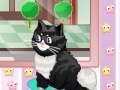Juego Cat Salon