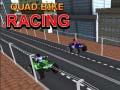 Juego Quad Bike Racing