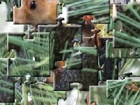 Juego A small protein