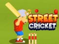 Juego Street Cricket