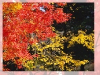 Juego Choose a puzzle 3