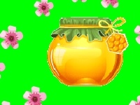 Juego Gather the flowers