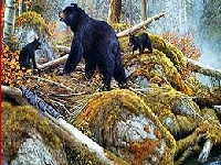 Juego Bears near the lake