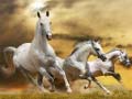 Juego Running Horse Slide