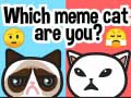 Juego Which Meme Cat Are You?