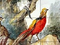 Juego Birds in the wood