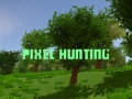 Juego Pixel Hunting