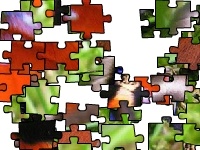 Juego Flapping butterfly
