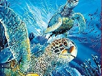 Juego Tutrtles in the ocean