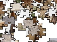 Juego Dromedary camel