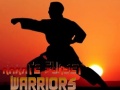 Juego Karate Sunset Warriors