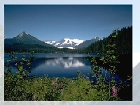 Juego Choose a puzzle 7