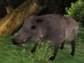 Juego Wild boar Hunting